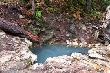 orman sıcak su kaynakları Umpqua veya Toketee bilinen Oregon dağlarda çevrili sıcak mineral havuzları rahatlatıcı