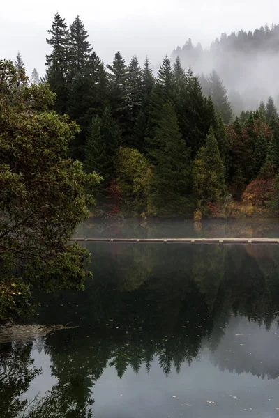 気分のビットを追加する低い霧と Toketee 貯水池の水の表面に反映して秋の色と美しい風景 — ストック写真