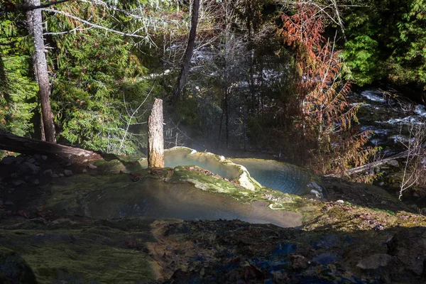 在被称为乌普卡或德塞温泉的俄勒冈州山区 被森林包围的炎热矿物池 — 图库照片