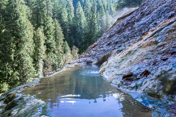 Ontspannen Warme Minerale Zwembaden Omgeven Door Bos Bergen Van Oregon — Stockfoto