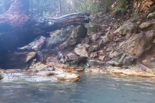 Rilassanti Piscine Minerali Calde Circondate Dalla Foresta Nelle Montagne Dell — Foto Stock