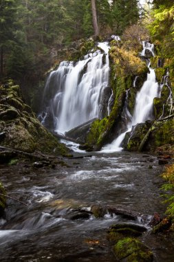 güzel şelale Güney Oregon bir soğuk kış öğleden sonra biraz buz tarafta ve günlükleri ve kayalar üzerinde büyüyen yeşil yosun ile vurdu