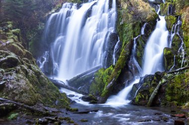 güzel şelale Güney Oregon bir soğuk kış öğleden sonra biraz buz tarafta ve günlükleri ve kayalar üzerinde büyüyen yeşil yosun ile vurdu