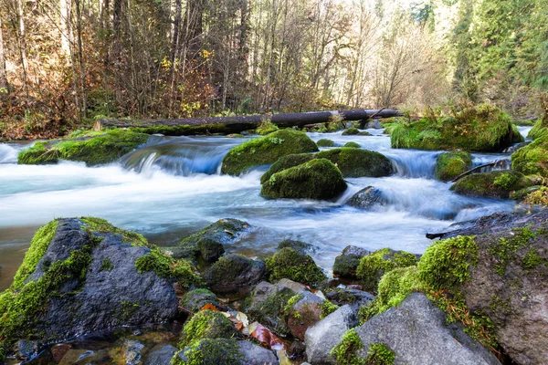 Section North Umpqua River Water Cascading Mossy Green Rocks Bare — Stock Photo, Image