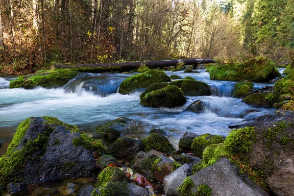 Τμήμα Του Ποταμού Βόρειο Umpqua Νερό Πάνω Από Ποώδη Πράσινο — Φωτογραφία Αρχείου