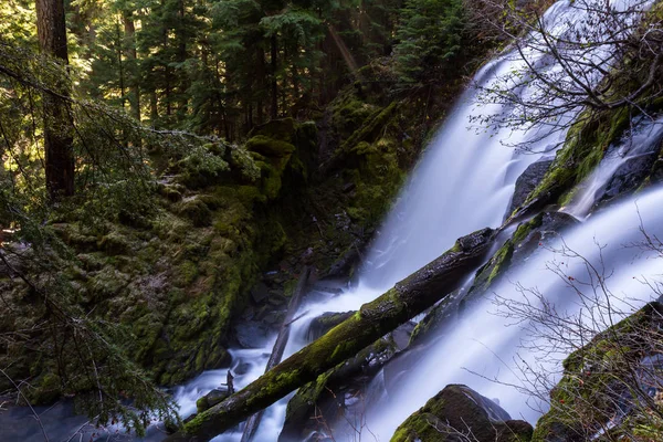 Gyönyörű Vízesés Déli Oregon Lelőttek Egy Hideg Téli Délután Egy — Stock Fotó