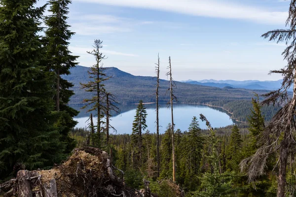 Pohled Jezero Diamond Mount Thielsen Stezka Hustými Lesními Porosty Popředí — Stock fotografie