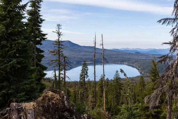 View Diamond Lake Mount Thielsen Trail Dense Forest Vegetation Foreground — Stock Photo, Image