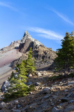 Güzel Dağı Thielsen görünümünden yol boyunca bir kaç yeşil ağaçlar ile iz