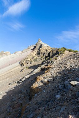 Güzel Dağı Thielsen görünümünden yol boyunca bir kaç yeşil ağaçlar ile iz