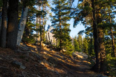 Mount Thielsen tepesine tırmanma Oregon orman iz işaretlenmiş