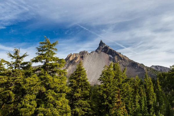 Krásný Pohled Mount Thielsen Stezka Zelený Les Popředí — Stock fotografie
