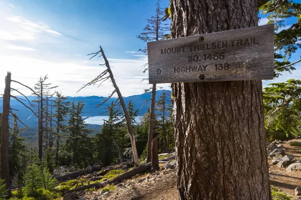 Merkitty Polku Metsässä Oregon Kiipeäminen Huipulle Thielsen — kuvapankkivalokuva