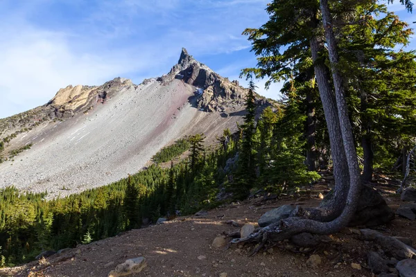 Prachtig Uitzicht Mount Thielsen Vanaf Trail Met Een Groen Bos — Stockfoto