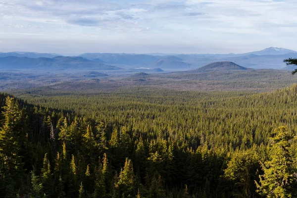 Mount Thielsen Planda Yoğun Orman Bitki Örtüsü Ile Elmas Gölden — Stok fotoğraf
