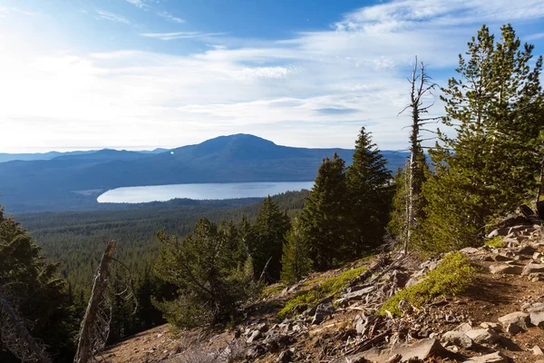 Kilátás Nyílik Mount Thielsen Trail Sűrű Erdei Vegetáció Előtérben Diamond — Stock Fotó