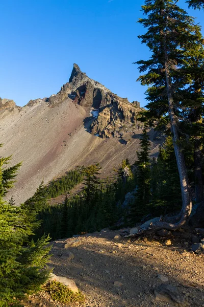 Beautiful View Mount Thielsen Trail Green Forest Foreground — Stock Photo, Image