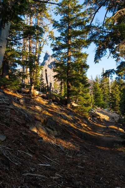 Sentiero Segnato Nella Foresta Dell Oregon Che Sale Fino Alla — Foto Stock