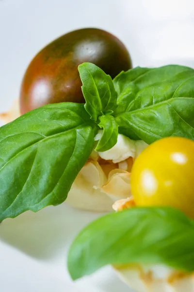 Goat cheese bites — Stock Photo, Image