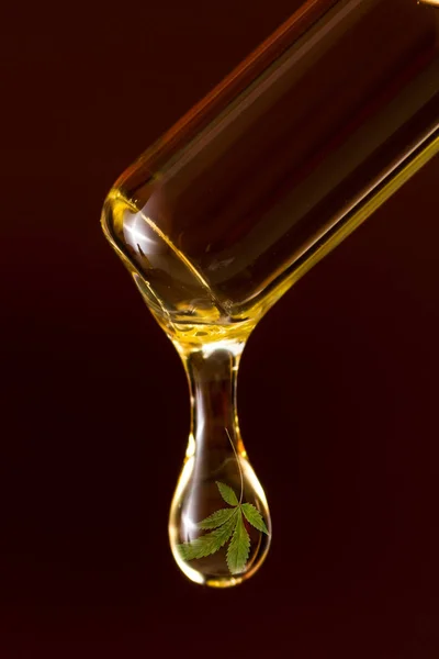 Pure Hemp Oil Vivid Golden Color Dripping Dropper — Stock Photo, Image