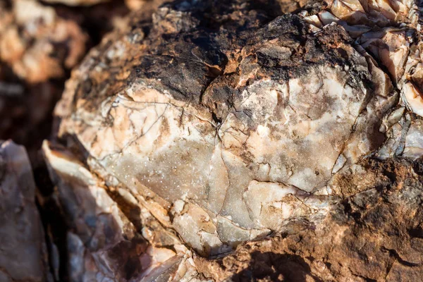ひびの入った岩マクロ — ストック写真
