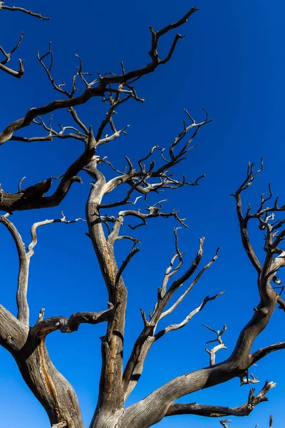 Alter Haken über blau — Stockfoto