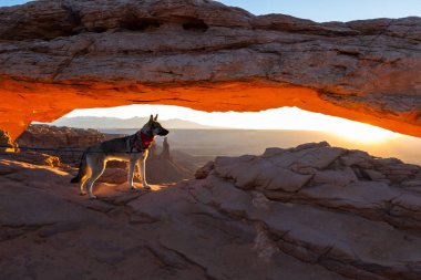 Mesa kemer, canyonlands Milli Parkı 