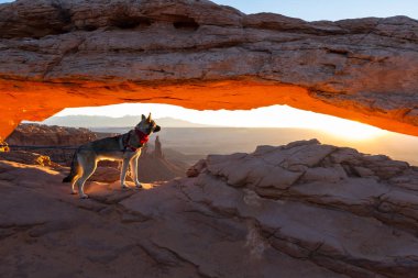 Mesa kemer, canyonlands Milli Parkı 