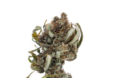 Esrar ya da beyaz üzerinde marihuana