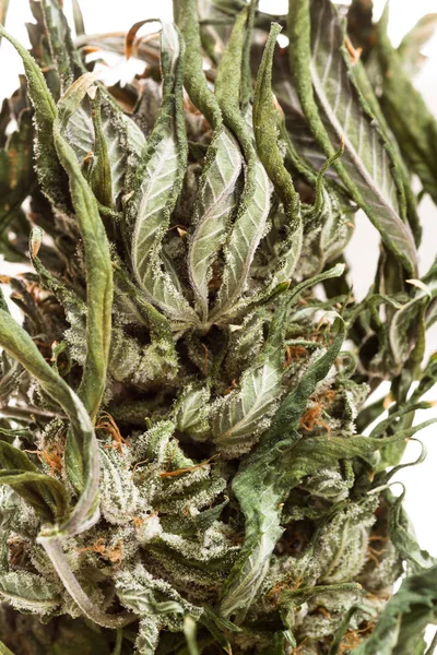 Cannabis ou maconha sobre branco — Fotografia de Stock