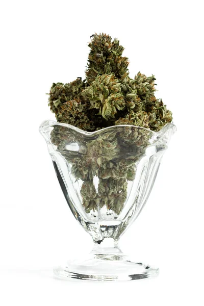 Servindo de cannabis sativa — Fotografia de Stock