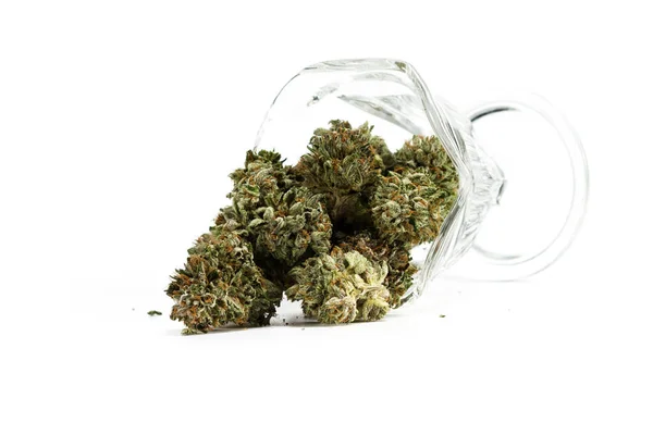 Serveren van cannabis sativa — Stockfoto