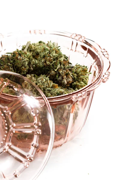 Cannabis storage jar — Stock Photo, Image