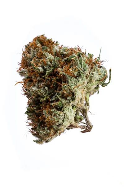 Weed on white — Stock Photo, Image