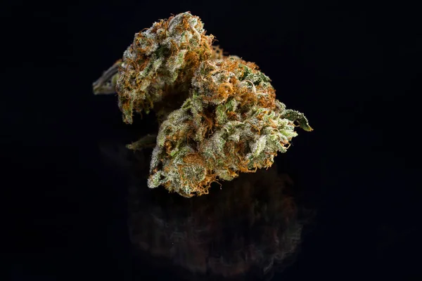 Beautiful marijuana close up — Stock Photo, Image