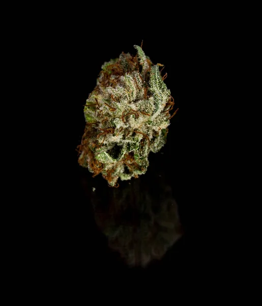 Gyönyörű marihuána közelről — Stock Fotó