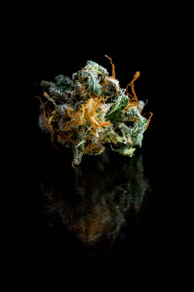 Krásné, marihuana zblízka — Stock fotografie