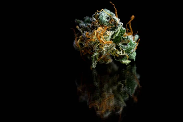Beautiful marijuana close up — Stock Photo, Image