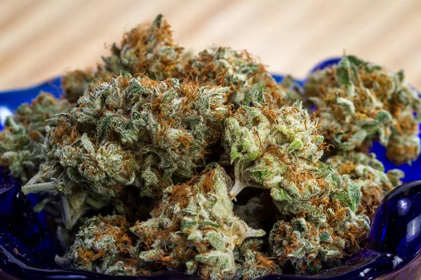 Marihuana-Knospe — Stockfoto