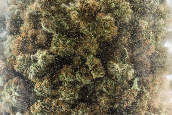 Frasco de vidrio lleno de cannabis —  Fotos de Stock