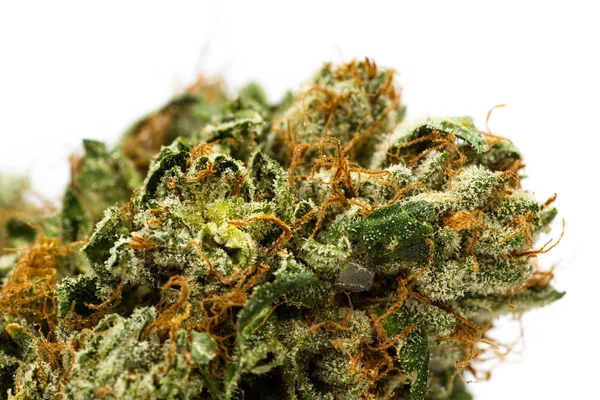 Fibrer og krystaller på en cannabisknopp – stockfoto