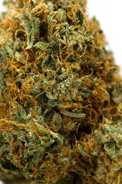 Fibras y cristales en un brote de cannabis —  Fotos de Stock