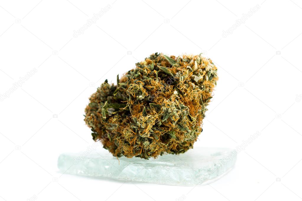 Isolated trimmed cannabis bud