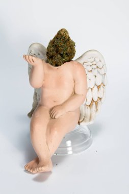 kanatları ile pot kafa 