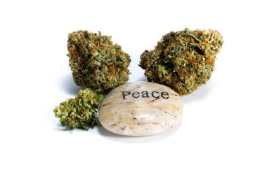 barış ve marihuana