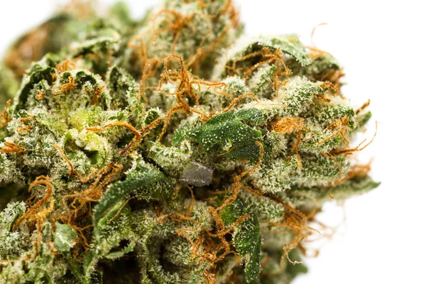 Fasern und Kristalle auf einer Cannabis-Knospe — Stockfoto