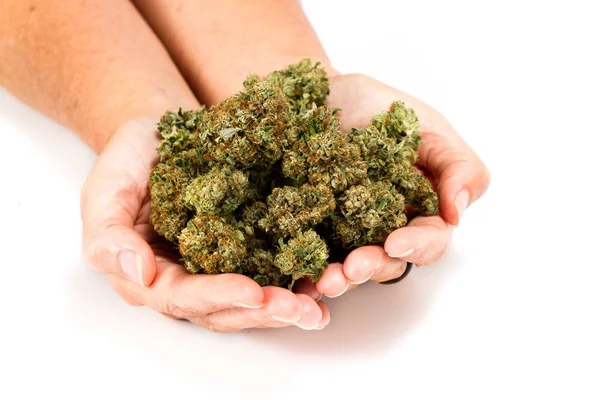 Hände weg von Cannabis — Stockfoto