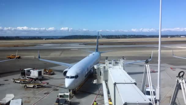 Sea Tac Seattle Tacoma International Airport 2019 알래스카 날개에서 — 비디오