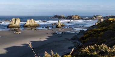 Face Rock State Park 'ta güzel bir sabah, Bandon Oregon. Güneş ışığı dalgaları yakalıyor. Sahneye röfle ekliyor.