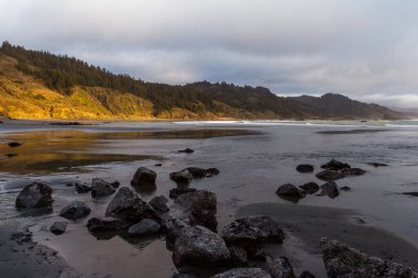 Yumuşak öğleden sonra ışığı yamaçların ve ağaçların bir kısmını aydınlatıyor ve Oregon 'da Hunters Cove olarak bilinen Myers Creek Sahili' nin kuzey kesimindeki ıslak kumda yansıma oluşturuyor.